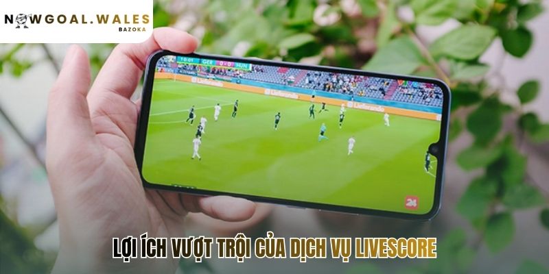 Dịch vụ livescore giúp người dùng nắm thế chủ động
