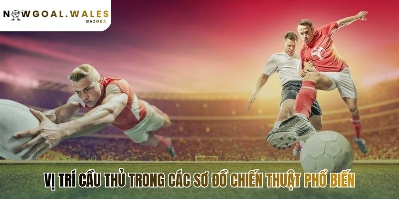 Vai Trò Tiền Vệ MF - Nhạc Trưởng Khu Trung Tuyến